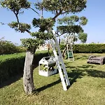 Le Chianche Bed & Breakfast 3*
